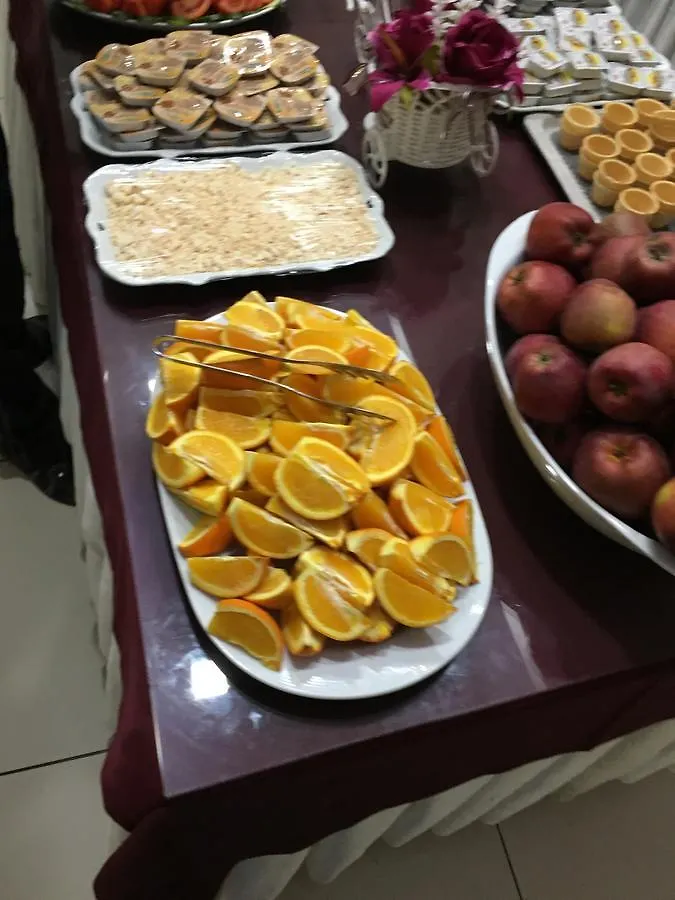 Afyon Grand Ari Hotel Afyonkarahisar Türkiye